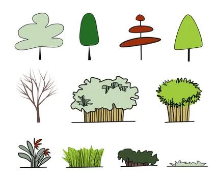 Form of tree Stock Illustration
