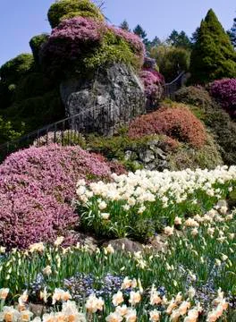 Formal Garden Stock Photos