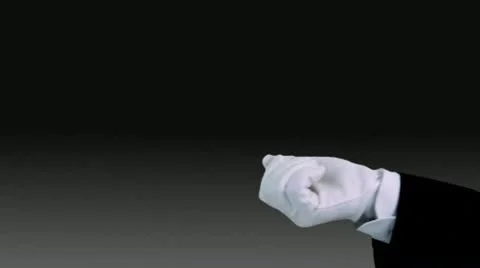 Formal Media Reveal Catálogo de After Effects