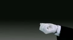 Formal Media Reveal Stock After Effects