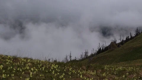 The formation and movement of clouds over the summer slopes of Bolshoy Thach Video stock 83493210