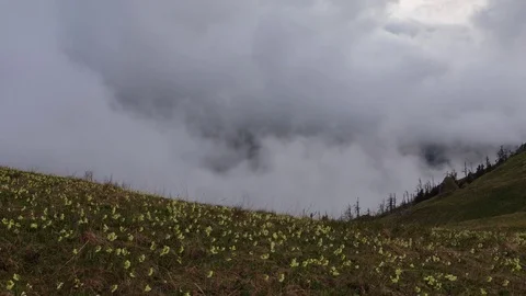 The formation and movement of clouds over the summer slopes of Bolshoy Thach Stock Footage 83519456