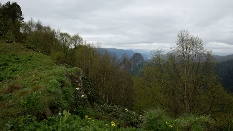 The formation and movement of clouds over the summer slopes of Bolshoy Thach Video stock 83591807