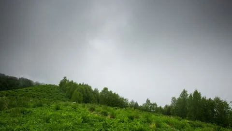 The formation and movement of clouds over the summer slopes of Mountains Stock Footage 149980696
