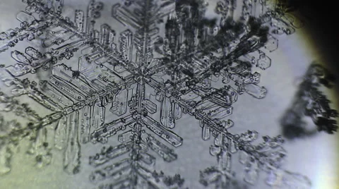 Formation of the branches of snowflakes Stock Footage 60223086