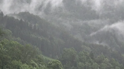 Formation of clouds above a forest hill in the Austrian Alps during rain Stock Footage 119905180