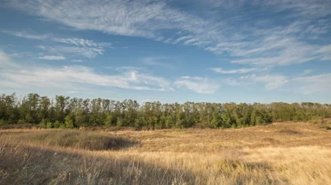 The formation of clouds over autumn endless green fields of grass Stock Footage 67747799