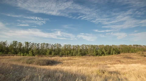 The formation of clouds over autumn endless green fields of grass Stock Footage 67748431