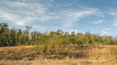 The formation of clouds over autumn endless green fields of grass Stock Footage 67748684