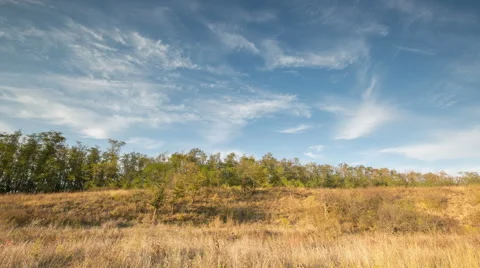 The formation of clouds over autumn endless green fields of grass Stock Footage 67748982