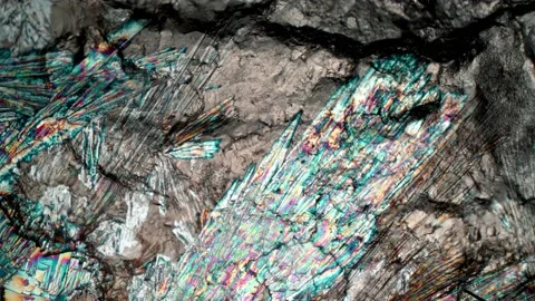 Formation of crystals under the microscope. Stock Footage 151379075