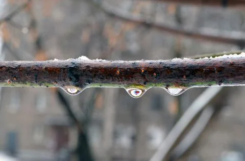 Formation of icing on a tree branch Stock Photos