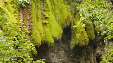 Formation of moss waterfall Stock Footage 98678234