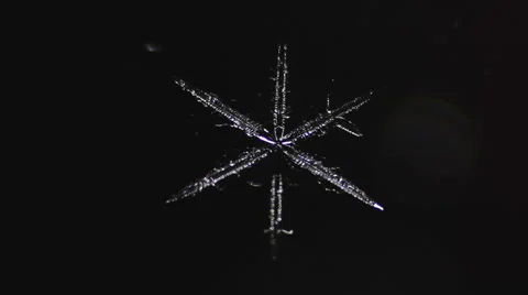 Formation of a snowflake on a dark background Stock Footage 60737226