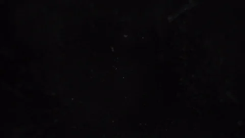 Formation of a snowflake under a microscope Stock Footage 87304656