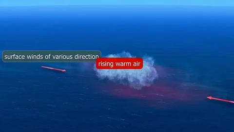 Formation of tropical cyclone Video stock 320655509