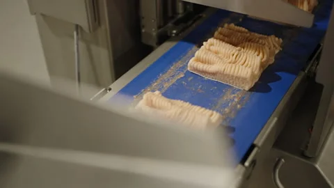 Formed Chicken Mince Blocks Advancing Under Portioning Machine Stock Footage 339007755