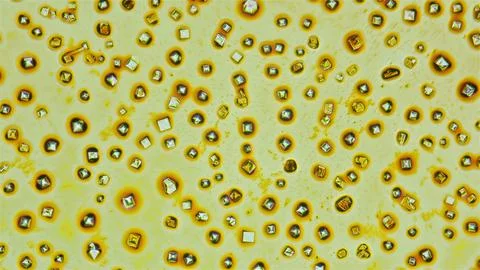 Formed crystals of an alcoholic solution of iodine used as a disinfectant, un Stock Photos