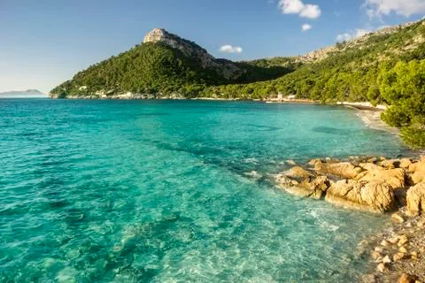 Formentor beach in Majorca Stock Illustration