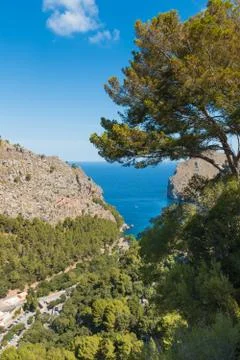 Formentor beach Stock Photos