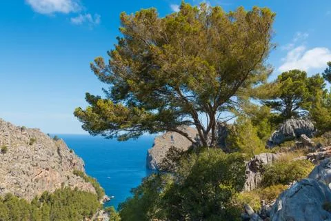 Formentor beach Stock Photos