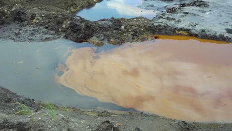 The former dump toxic waste, effects nature from contaminated soil and water Stock Footage 94813230