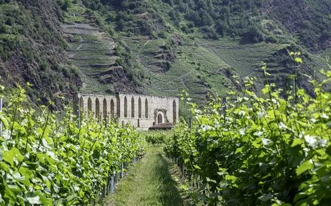 The former Stuben Monastery with its impressive church ruins Stock Photos