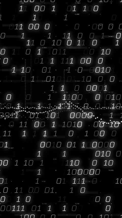 Forming digital network pattern, animation of binary code and data wave Stockbeeldmateriaal 344370516