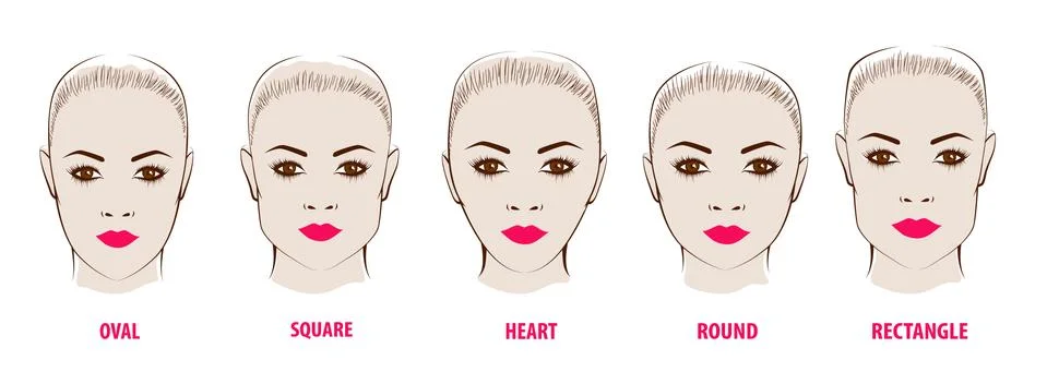 Forms of a female face. Stock Illustration