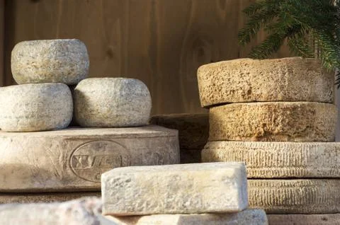 Forms of various cheeses Stock Photos