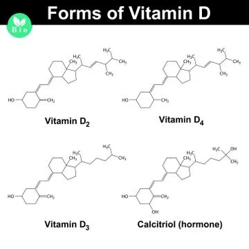 Forms of vitamin D Stock-Illustration
