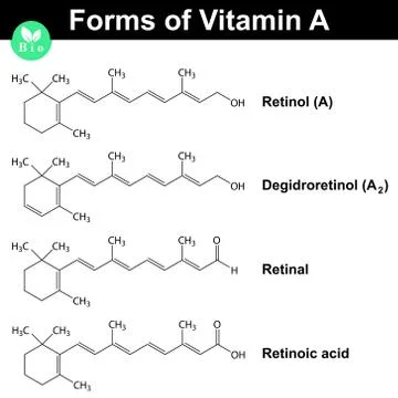 Forms of vitamin A Stock Illustration