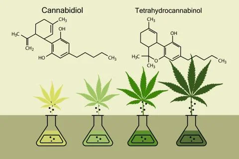 The formula of cannabis Stock Illustration
