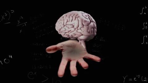 Formulas appearing causing rotating brain levitating above hand, equations Video stock 311217272