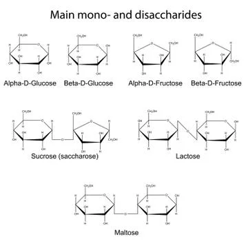 Formulas of main cyclic monosaccharides and disaccharides Иллюстрация