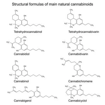 Formulas of natural cannabinoids Stock Illustration
