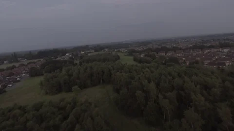 Forrest Aerial shot Stock Footage 77514958