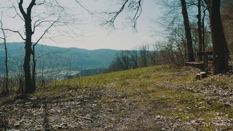 Forrest with Amazing View over small Village | HD Stock Footage 88317820