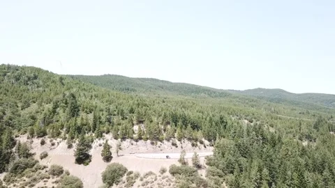 Forrest Ariel Video stock 202628508