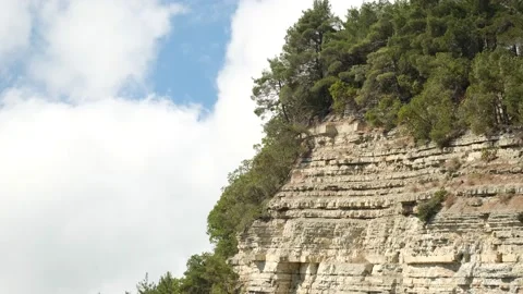Forrest on big rock, white clouds on blue sky background. Stock Footage 137776760