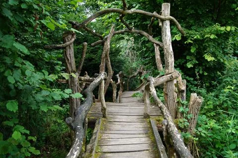 Forrest boardwalk Stock Photos