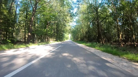 Forrest Car View Driving Forward 4K Road Summer Travel Adventure GoPro Stock Footage 113071580