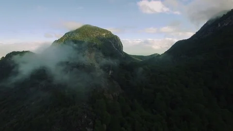 Forrest Covered Mountain Stock Footage 71461961