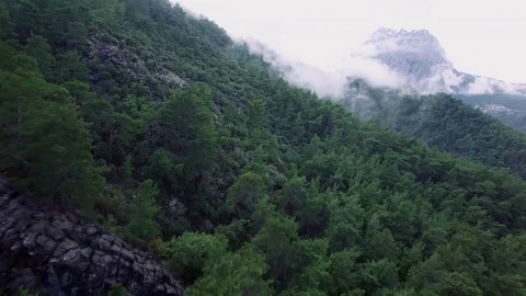 Forrest Covered Mountain Stock Footage 71462409