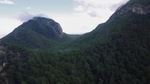 Forrest Covered Mountain Stock Footage 71463311