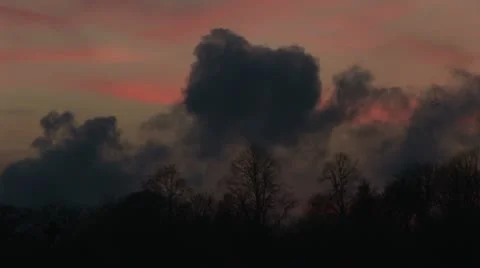 Forrest fire in evening Stock Footage 12601350