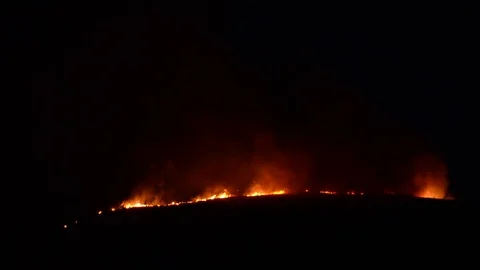 Forrest Fire on mountain at night Video stock 97742555