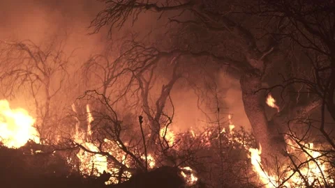 Forrest FIre in Patagonia #3 Stock Footage 201638259
