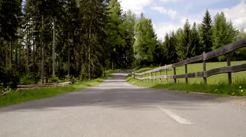 Forrest Stock-Footage 25624520