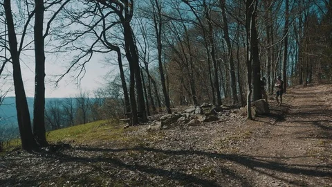 Forrest with Great View in Background on Summer Day | HD Stock Footage 88316918